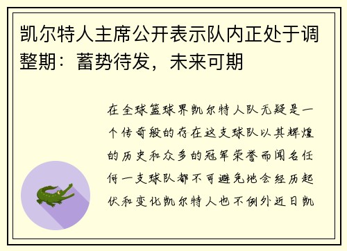 凯尔特人主席公开表示队内正处于调整期：蓄势待发，未来可期