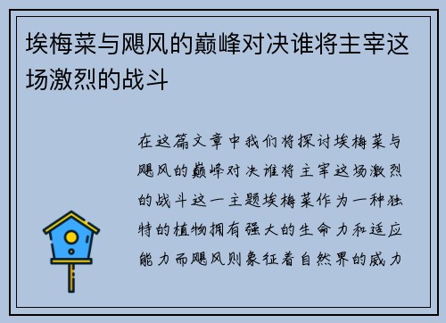 埃梅菜与飓风的巅峰对决谁将主宰这场激烈的战斗